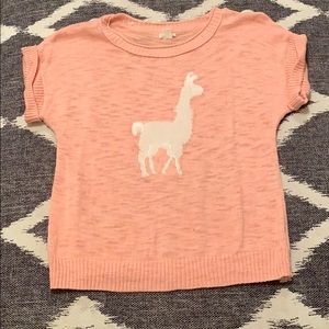 Llama Short Sleeved Sweater